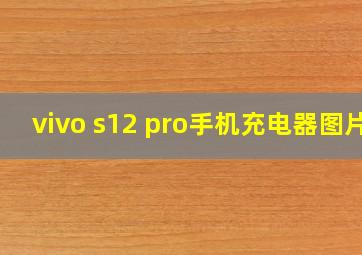 vivo s12 pro手机充电器图片